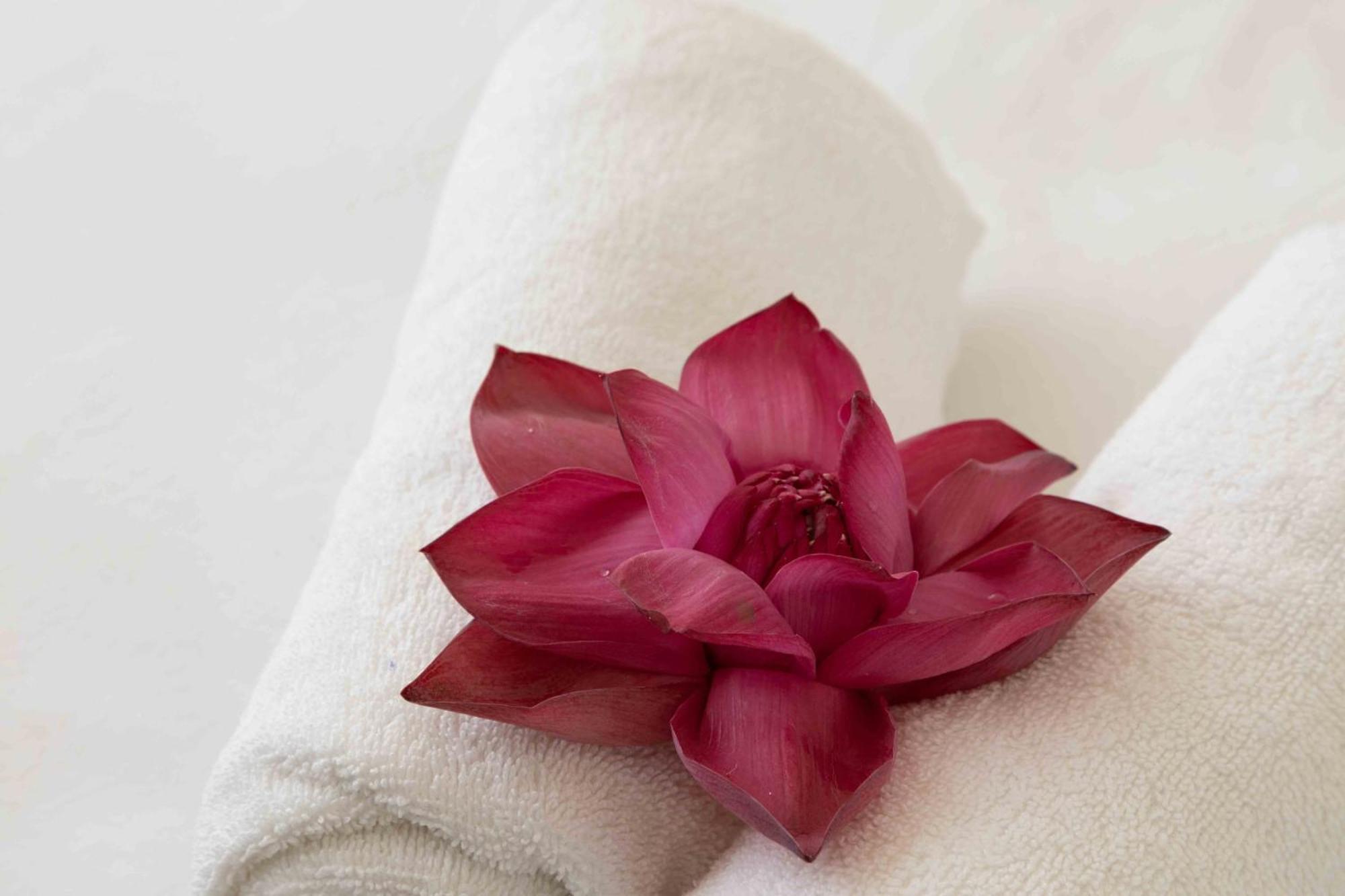 Lotus Colombo Guesthouse Kültér fotó