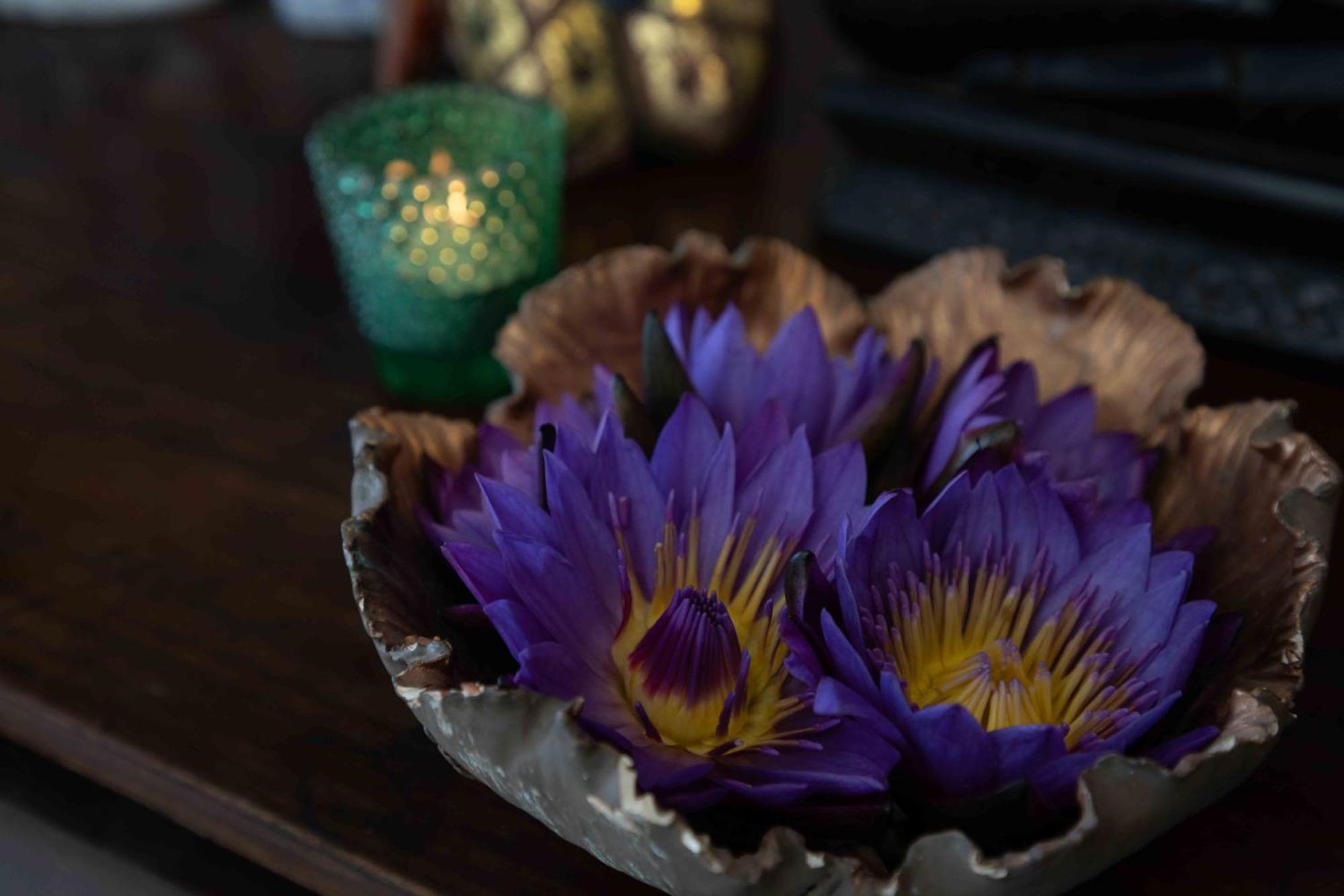 Lotus Colombo Guesthouse Kültér fotó